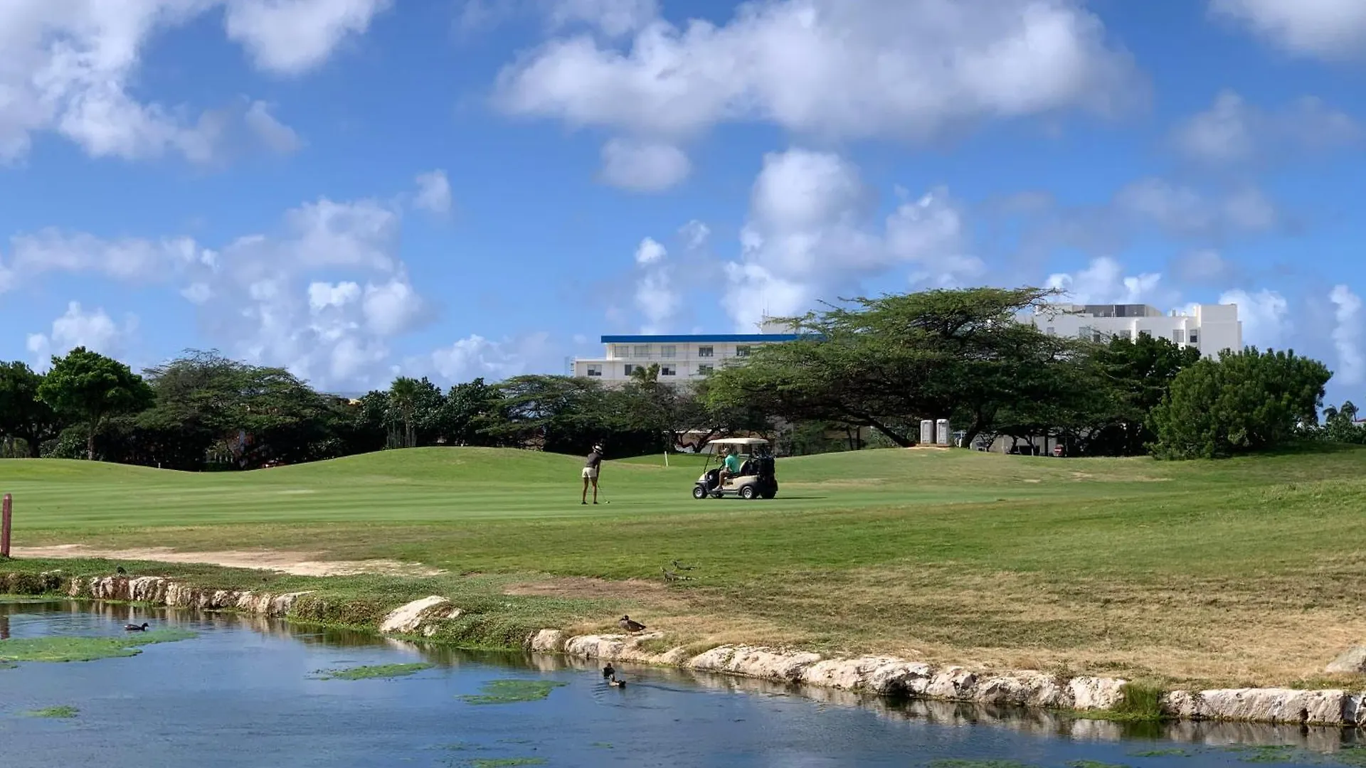 Divi Village Golf & Beach Resort Palm Beach 0*,  Aruba