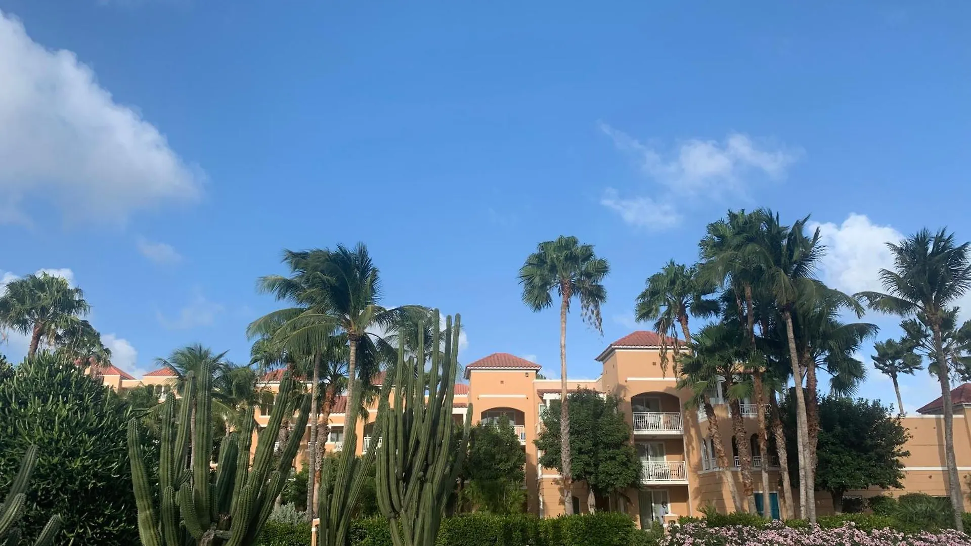 Aparthotel Divi Village Golf & Beach Resort Palm Beach